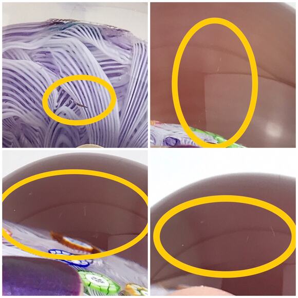 Perthshire PP47 1985 Millefiori Picture Cane Cat Bird Amethyst Paperweight Cert - Picture 16 of 16